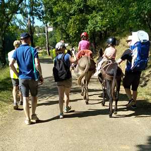 carole, un parc d'attraction à Montauban