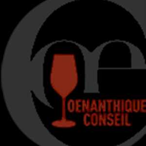 Oenanthique Conseil, un club ou un vendeur de jeux de société à Caen