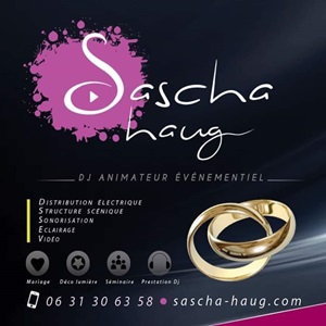Sascha Haug Animation , un magasin de sonorisation à Pau