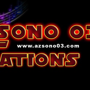 azsono03, un magasin de sonorisation à Bron