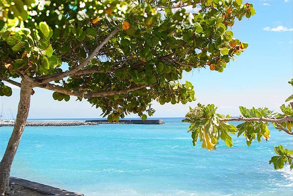 Où se balader à La Réunion ?