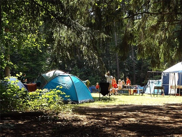 Quelles sont les activités et les animations que l’on peut retrouver dans les campings ?
