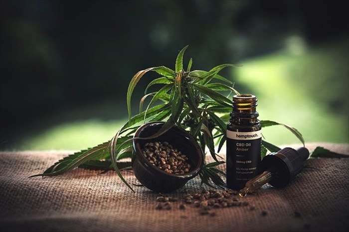 3 points essentiels à connaitre sur le CBD suisse